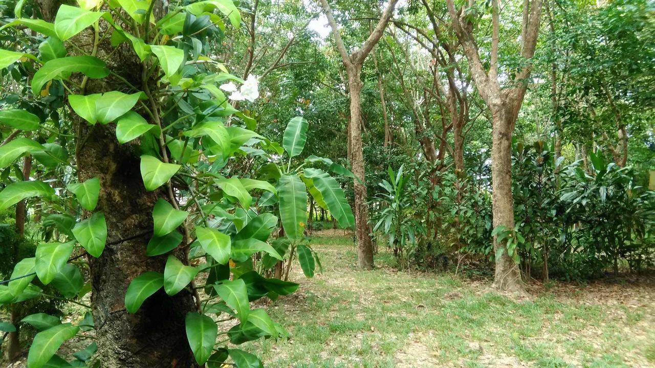 Hotel Dugong Koh Sukorn Ko Sukon Esterno foto