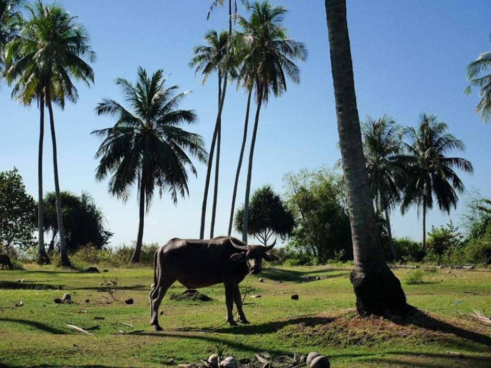 Hotel Dugong Koh Sukorn Ko Sukon Esterno foto